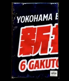 【未開封】新井楽人 2025-26 選手タオル 横浜ビー・コルセアーズ