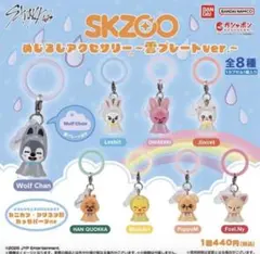 Stray Kids SKZOO めじるしアクセサリー 雲プレートver.