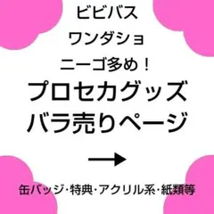 プロセカ 缶バッジ ぬいぐるみ スリーブ ウエハース ヴァイス 特典 ぱしゃこれ