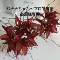 バナナちゃん〜プロフ確認必須様専用