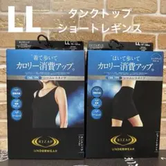 Item thumbnail for item 24539766-381a-4d47-b84f-8709ea3d789a