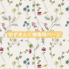 ゆずきんぐ様専用ページ