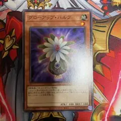 遊戯王　グローアップ　⑭