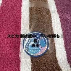 ディズニー 刺繍缶バッジ2