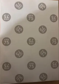 CAINZ コピー用紙 A4 500枚 白色度2冊セット