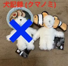 新品】国立科学博物館 特別展 昆虫 MANIAC 蚕蛾 カイコガ ぬいぐるみ