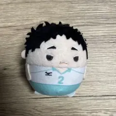 ハイキュー　松川一静　ふわコロりんbig Amazon.co.jp: ハイキュー!! ふわコロりんBIG5 C 松川一静 : おもちゃ