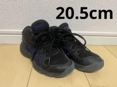 Item thumbnail for item 728b5694-1b0c-455a-bf3d-da85c86ecffd