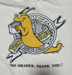 ビンテージ90s UC Santa Cruz Physics Tシャツ USA製 - メルカリ