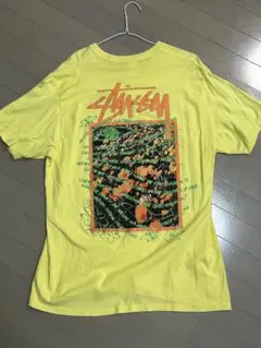 ステューシー　Tシャツ　Lサイズのサムネイル