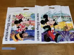 ディズニーランド　大判　ショッパー　約55cm*50cmセットのサムネイル