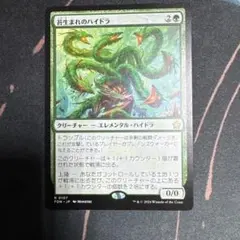 MTG 苔生まれのハイドラ 4枚 - メルカリ