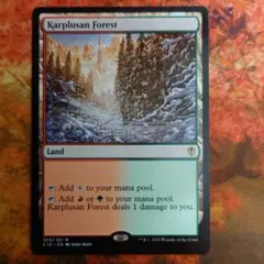 MTG カープルーザンの森 4枚セット DMU 日本語版 - メルカリ