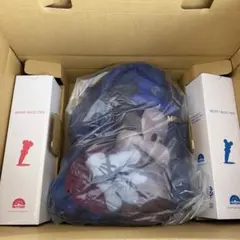 【未使用品】2017年DWEマジックペン アドベンチャーセット ディズニー英語