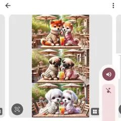 563　オーダー用パネル