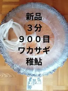 49460786_2