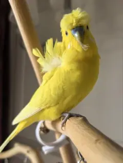 Item thumbnail for item f861504f-7006-4c0a-bc9b-aaf1948ca123