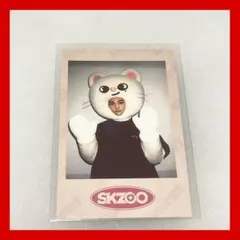 skzoo ポラロイド ヒョンジン ポラ スキズ straykids トレカ