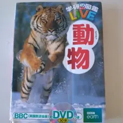 Item thumbnail for item cd2a472f-daaf-43a6-95fe-ee610b506ccb