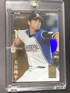 大谷翔平 プロ野球オーナーズリーグ スーパースター 2014 - メルカリ