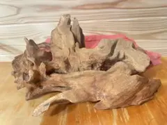 Item thumbnail for item acf23a88-a14a-4d2c-a2f0-d7eee3b81f23