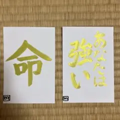 【限定2点】全身全霊の筆文字「命・あなたは強い」／私の全力、力試し！