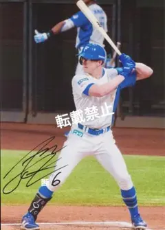 山梨学院 野球部 ストッキング ソックス - メルカリ