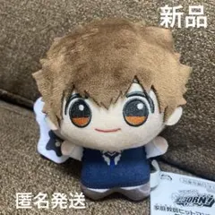 沢田綱吉&リボーン 家庭教師ヒットマンREBORN! ちびぐるみ