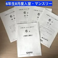 2026年最新】sapix 入室テストの人気アイテム - メルカリ