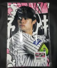 Item thumbnail for item 1ead2fb7-3adc-4729-9a8c-6c4d4a4aa872