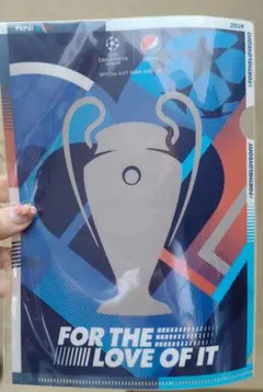 ペプシ UEFAチャンピオンズリーグ A5クリアファイル　2019