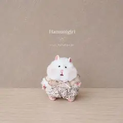 2354. はむにぎり ぬい服 ෆ̈ レース つけ襟 & かぼちゃパンツ