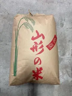 令和7年 山形県産 はえぬき 玄米 20kg 農家直送 - メルカリ