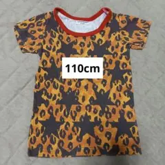 Item thumbnail for item 322d8ffc-c4bd-41a4-ac01-66839c2a1378