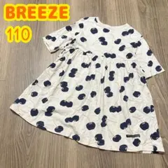 Item thumbnail for item 88b846db-0d6a-446b-b982-7fe4b98a2107