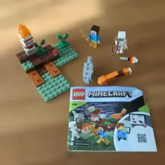 LEGO Minecraft 21162 　タイガの冒険　マインクラフト