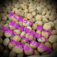 ⭐︎数量限定　世界に一つだけ☆自分で割るジオード 8個セット☆