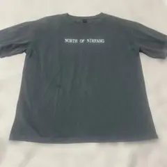 Dazy Tシャツ NORTH OF NIRFANG Mサイズのサムネイル