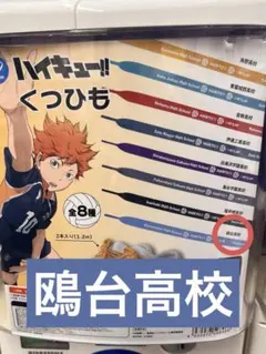 ハイキュー くつひも 鴎台高校 鴎台
