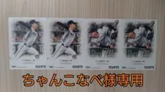 ちゃんこなべ様専用