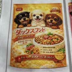 激レアレトロチワワ、トイプー、ポメラニアン、ヨーキー、柴犬
