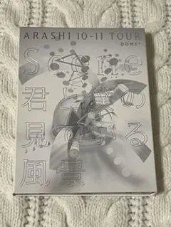 【初回限定盤】嵐 DVD 君と僕の見ている風景～DOME