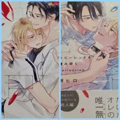 ルビーレッドを噛み砕く╱ルビーレッドを噛み砕く Reflection╱朔ヒロ