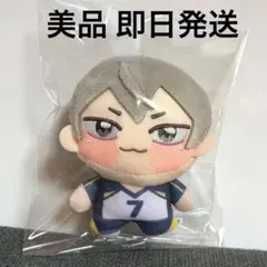 エラー品】ハイキュー!! ちょぴぬいぷち 木葉秋紀 - メルカリ