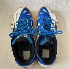 卓球用シューズ 青/白