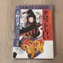 2026年最新】天野喜孝 タロットカードの人気アイテム - メルカリ