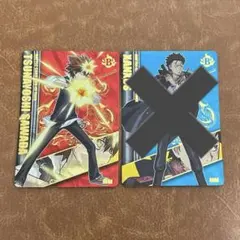 家庭教師ヒットマン　リボーン　サザンクロスバトル　沢田綱吉　赤背景