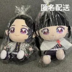 【匿名配送】鬼滅の刃　胡蝶しのぶ＆栗花落カナヲ　ぬいぷりけおすわりBIG4　2種