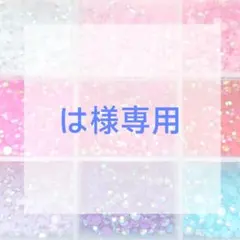 は様専用ページ