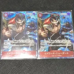 エドワード・ニューゲート SR パラレル(PRB-01新イラスト) OP02-…